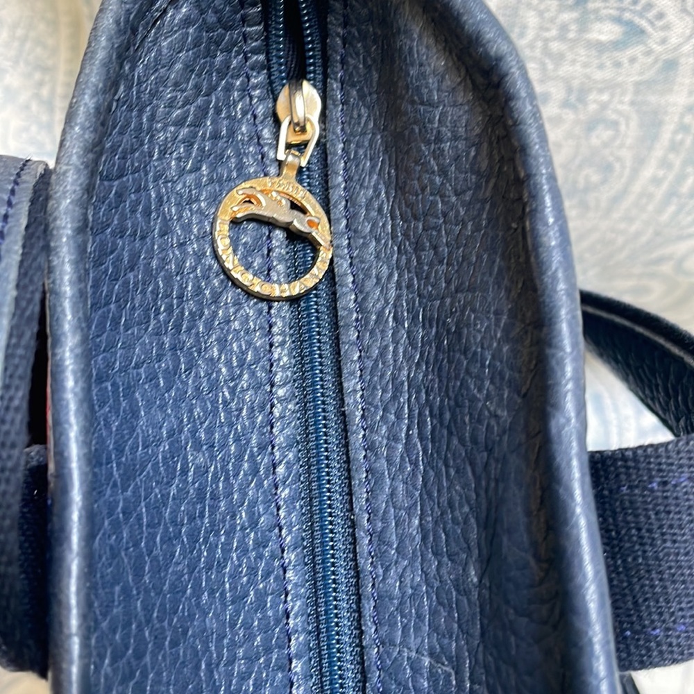 Longchamp Tote Bag - Picture 9 of 9
